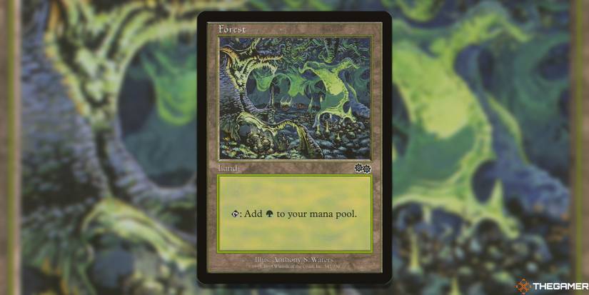The Best Forest Cards In MTG Ranked By Artwork The Best Forest Cards In MTG Ranked By Artwork