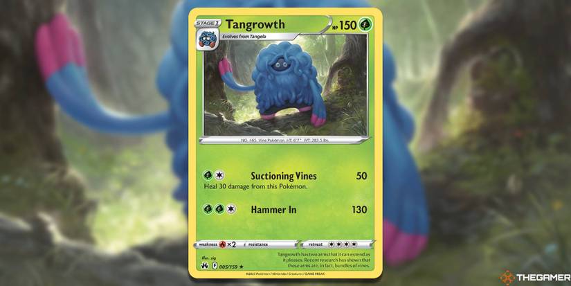 Pokemon TCG The 12 Best Art From Crown Zenith Pokemon TCG The 12 Best Art From Crown Zenith