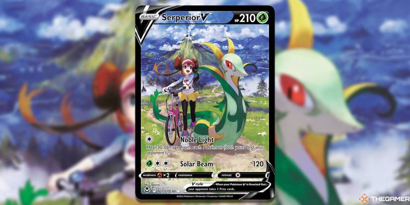 Pokemon TCG: The 9 Best Trainer Gallery Art In Sword & Shield: Silver  Tempest