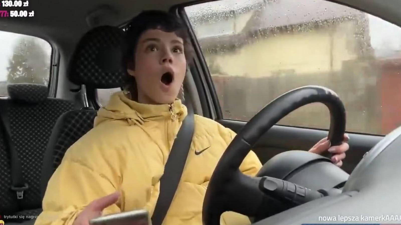 Polish Twitch Streamer Banned After Seemingly Running Over A Dog While ...