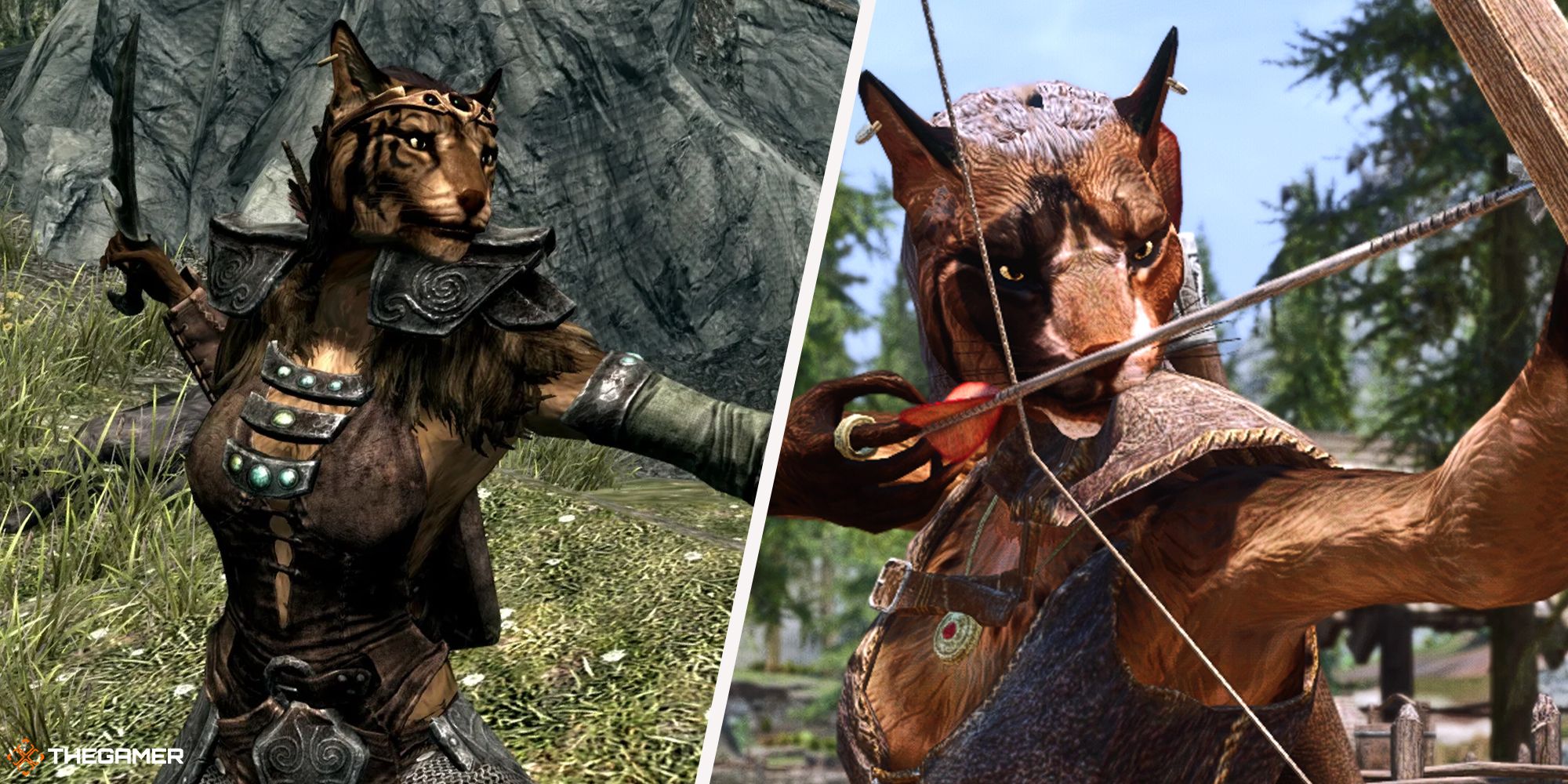 The Best Khajiit Builds In Skyrim, image size:2000x1000