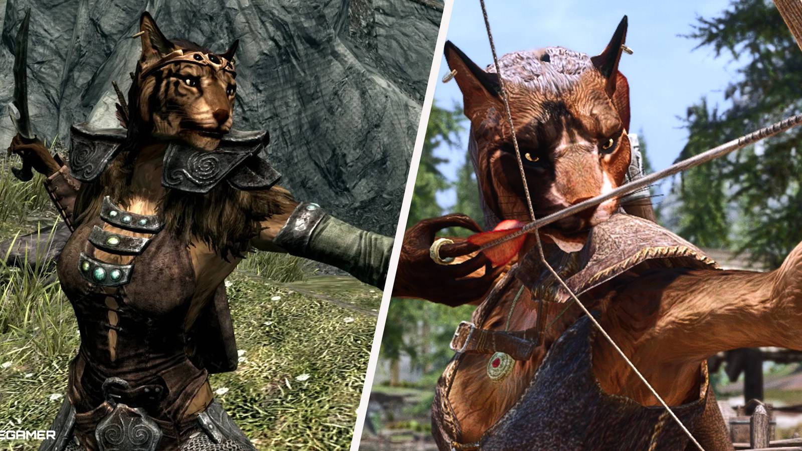 The Best Khajiit Builds In Skyrim, image size:1600x900