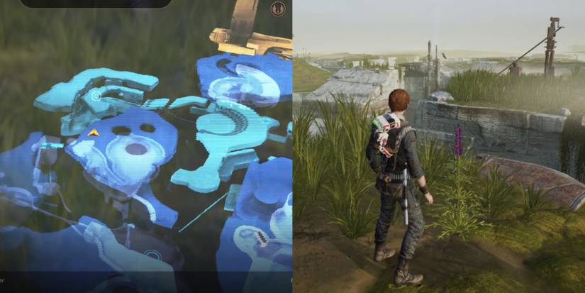 Where To Find All Terrarium Seeds In Star Wars Jedi: Fallen Order
