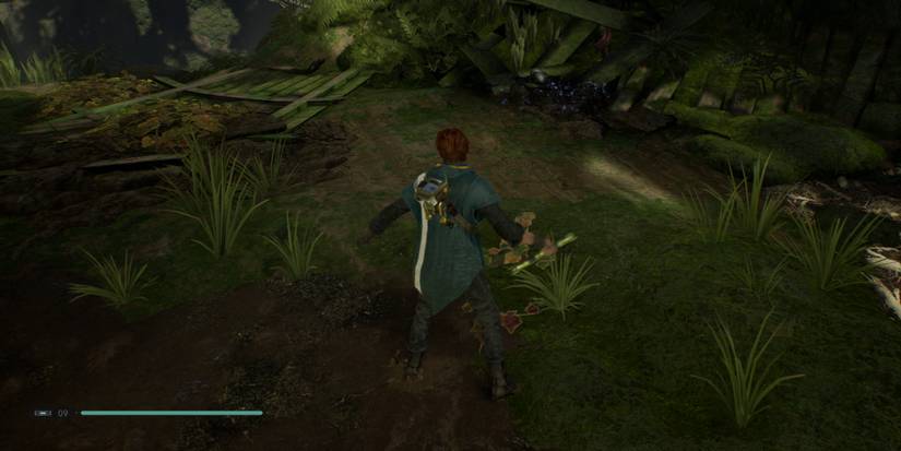 Where To Find All Kasyyyk Collectibles In Star Wars Jedi: Fallen Order