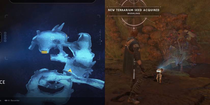 Where To Find All Terrarium Seeds In Star Wars Jedi: Fallen Order