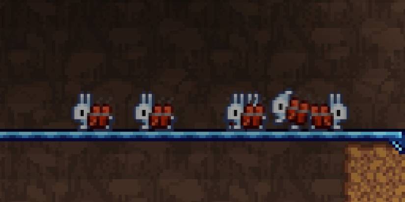 Terraria Rabbit Boss Everything You Need To Know About For The Worthy In Terraria