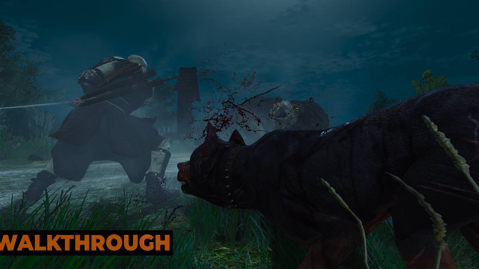 Where To Start A Dog's Life In The Witcher 3