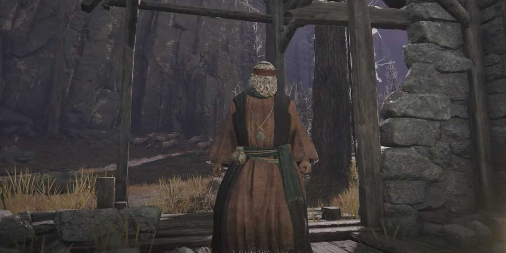 Errant Sorcerer set in the Elden Ring