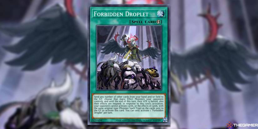 Yu-Gi-Oh! Master Duel: Best Staple Cards For Any Deck Yu-Gi-Oh! Master Duel: Best Staple Cards For Any Deck