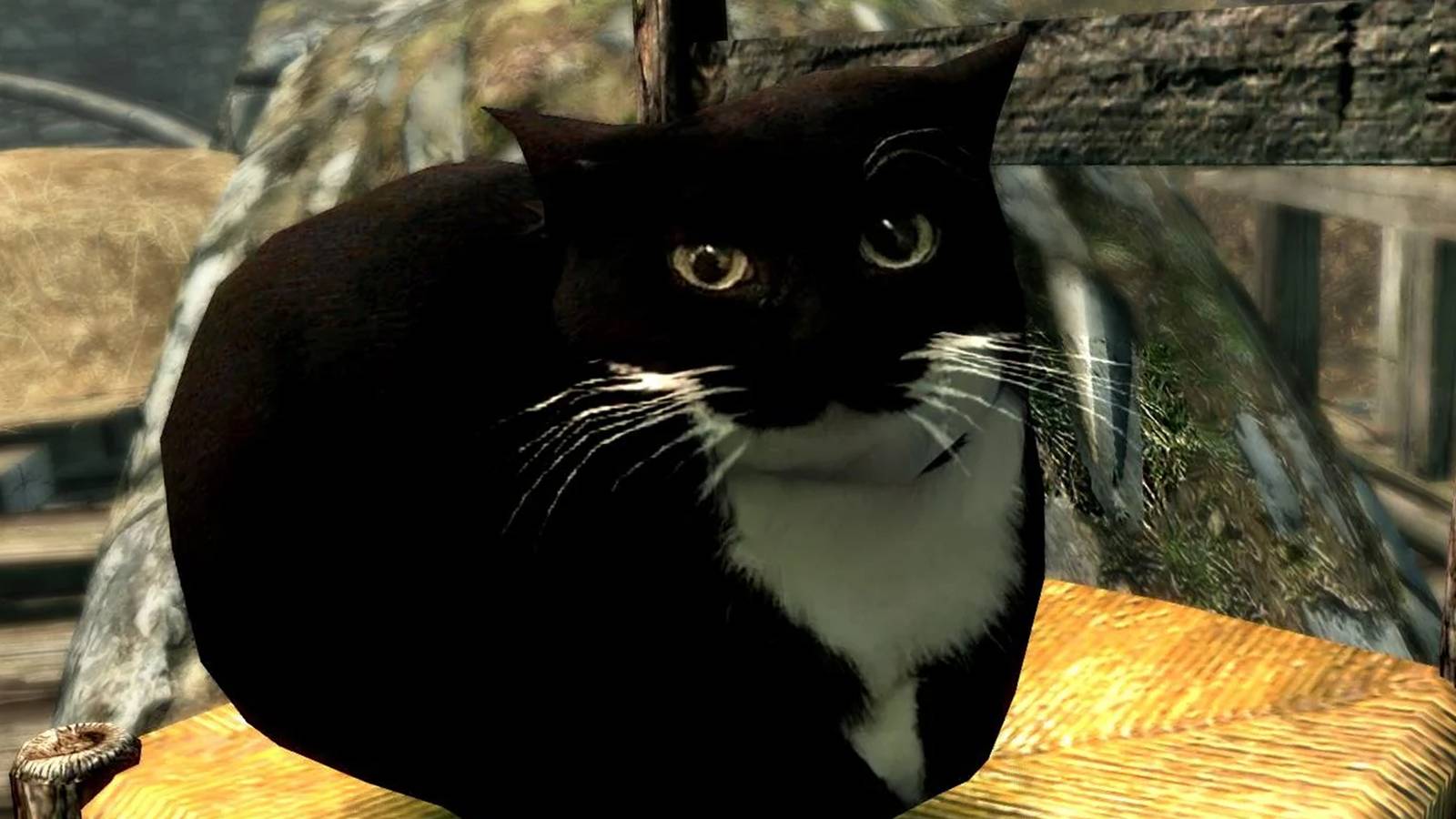 Skyrim Mod Adds Viral TikTok Meme Maxwell The Cat
