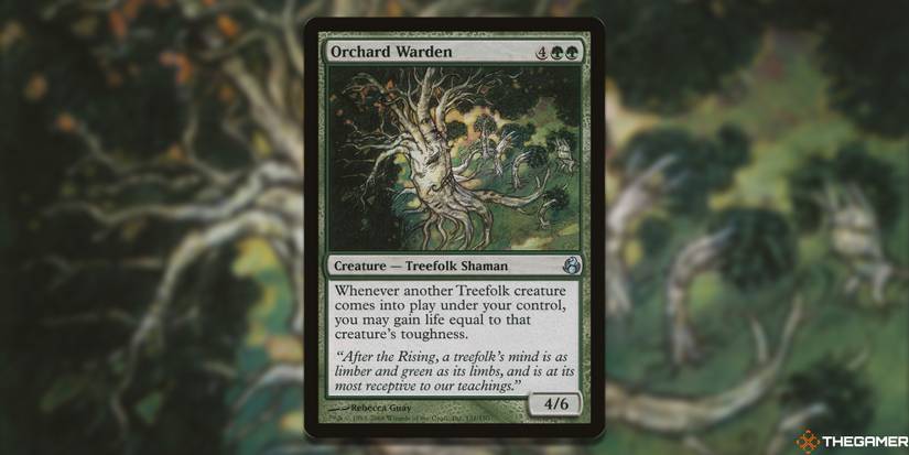 The Best Cards With Art By Rebecca Guay In MTG The Best Cards With Art By Rebecca Guay In MTG