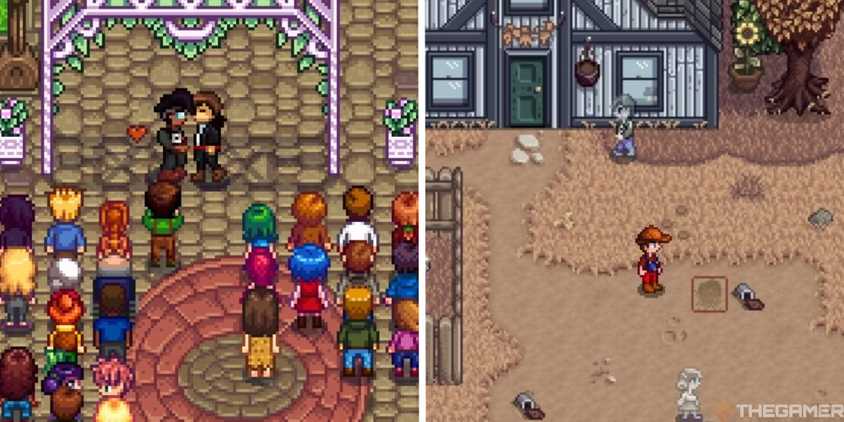 The Best Mods That Add NPCs In Stardew Valley