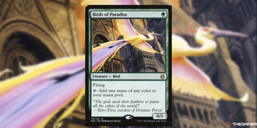 What Are Mana Dorks, Mana Rocks, And Mana Rituals In MTG?