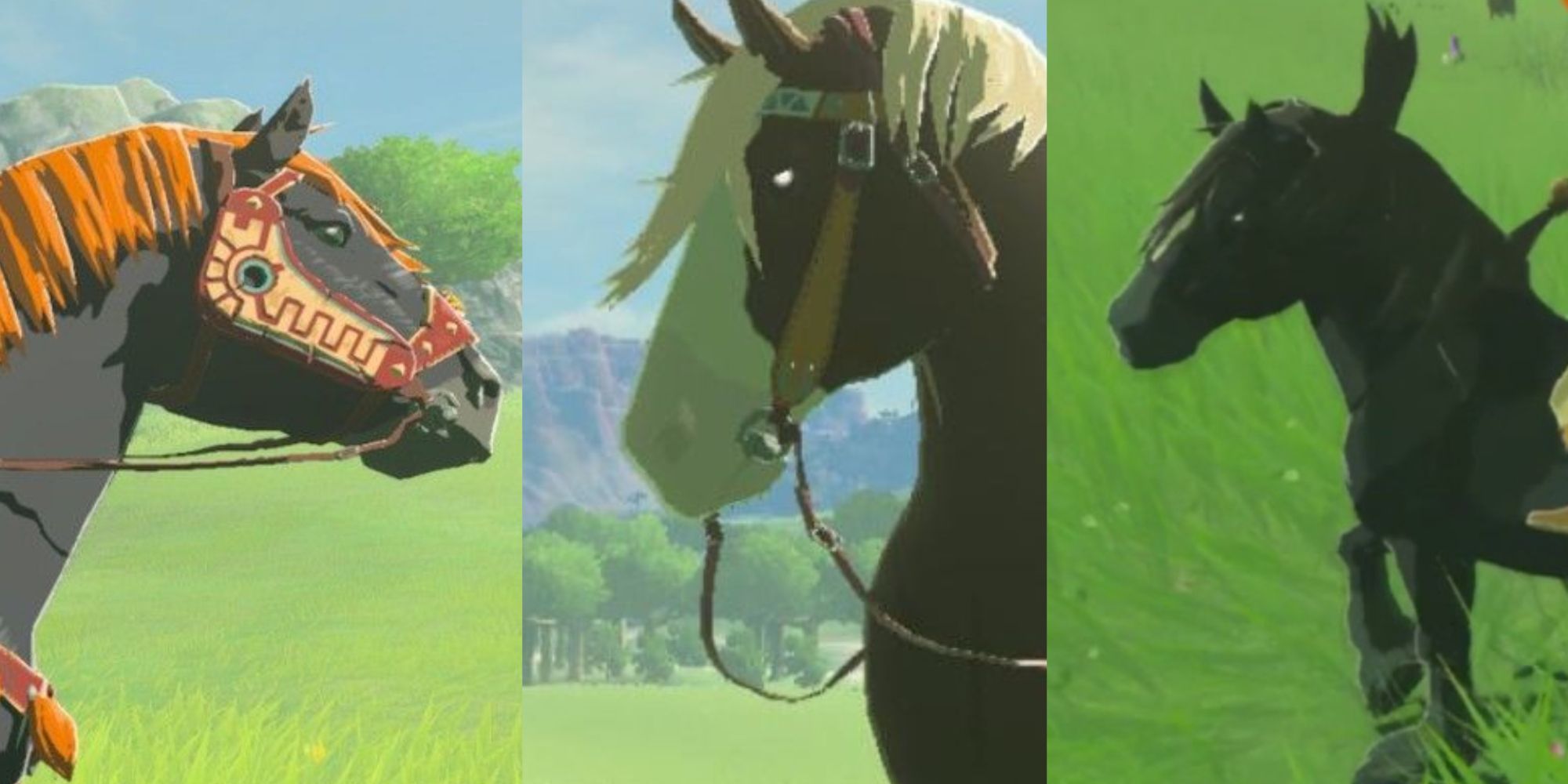 6 Best Wild Horses In Zelda: Breath Of The Wild