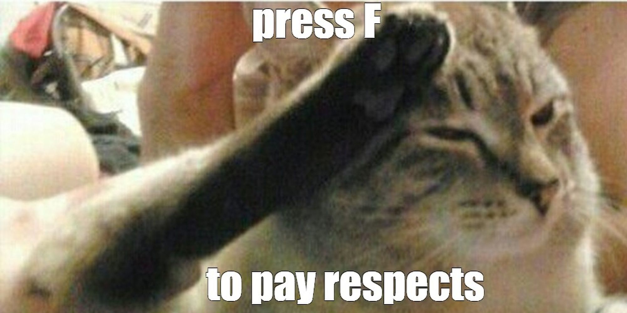 Where Does The Press F To Pay Respects Meme Come From?
