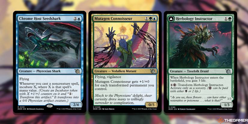 archetype cards mtg Painter's Servant [147] [Borderless] [Special Guests] [Foil] – Face to Face  Games main image 1