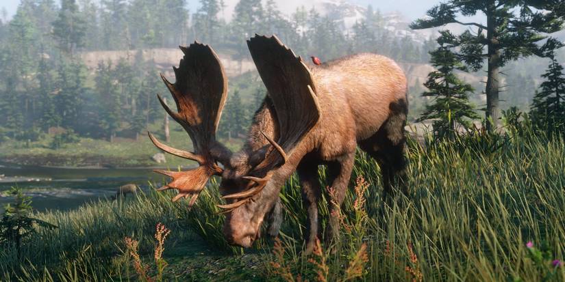 Where To Find Every Legendary Animal In RDR2