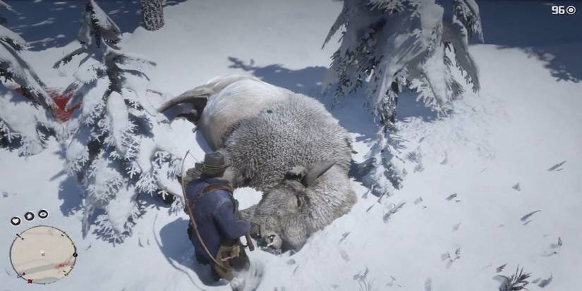 Legendary Bizon Rdr2 Where To Find Every Legendary Animal In RDR2