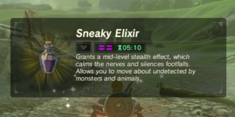 Groundhog Elixir 8 Best Elixirs In Breath Of The Wild