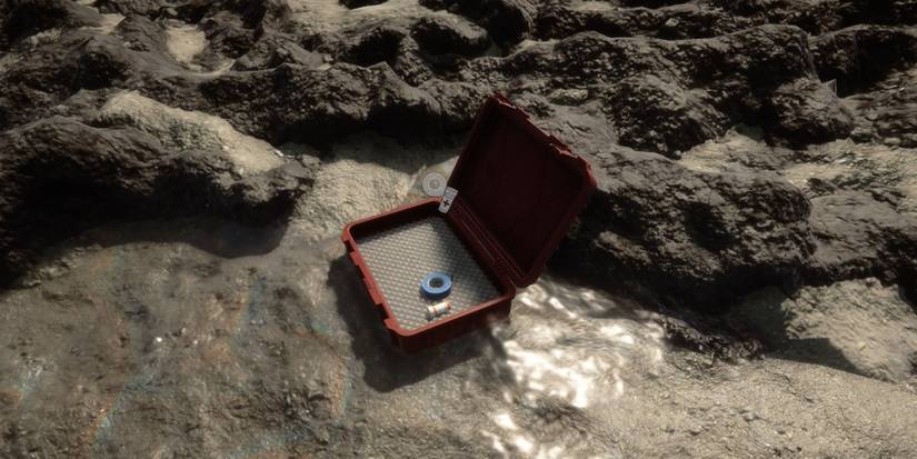 Sons Of The Forest Supply Crate On Beach