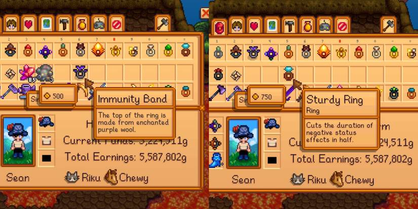 The Best Ring Combinations In Stardew Valley