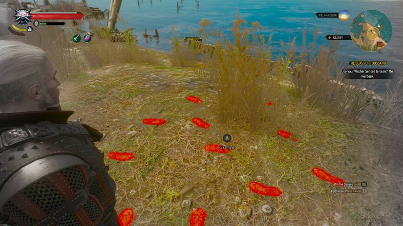 How To Solve The Riddle In The Beast Of Toussaint In The Witcher 3
