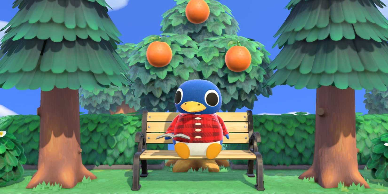 Roald reads a book on a bench beneath an orange tree in Animal Crossing New Horizons.