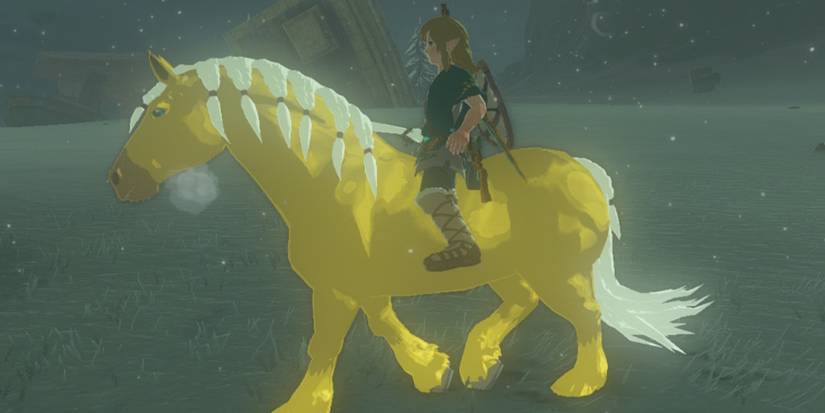 Secret Areas You Might Have Missed In Tears Of The Kingdom