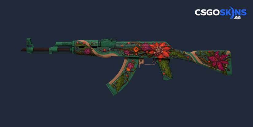 CS:GO - Rarest Skins