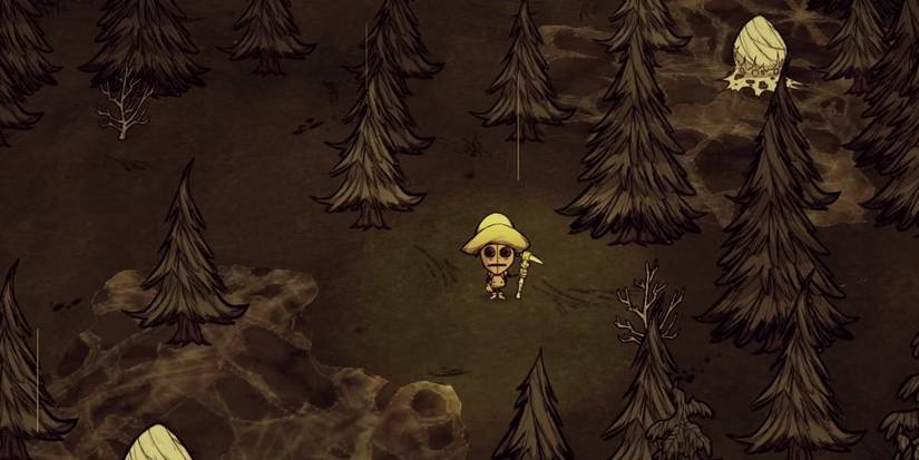 Biomes Dst Best Biome To Build A Base In Don't Starve Together