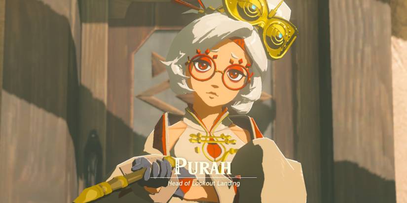 Which Legend Of Zelda: Tears Of The Kingdom Character Matches Your ...