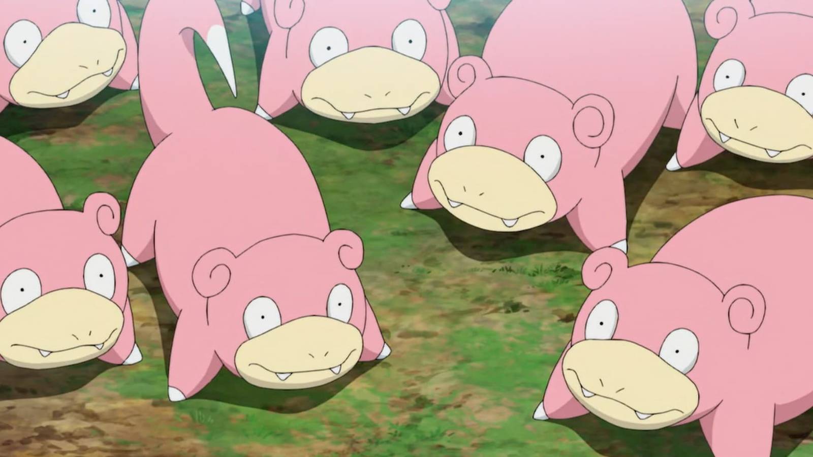 There are several Slowpokes gathered in the Pokemon anime.