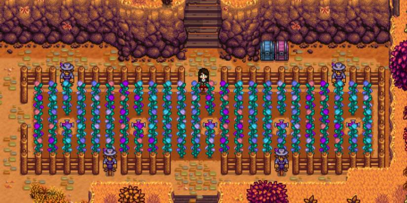 Stardew Valley fairy rose flowers in a fenced area