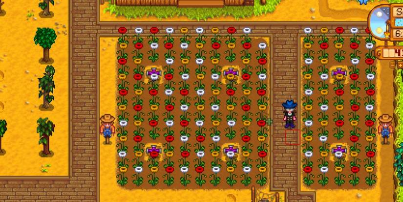 Stardew Valley: Best Flower Crops