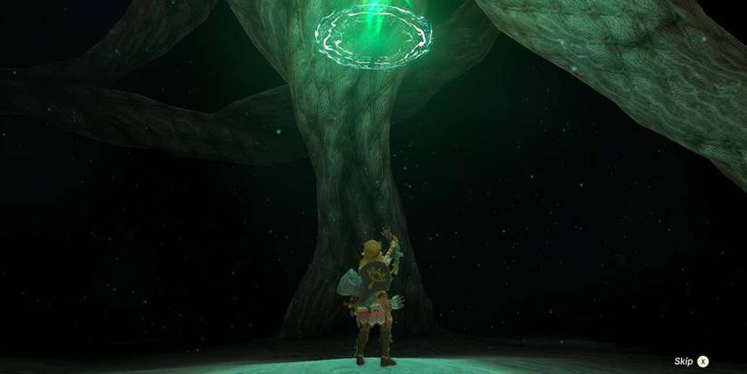 The Legend Of Zelda: Tears Of The Kingdom - Pro Tips And Tricks