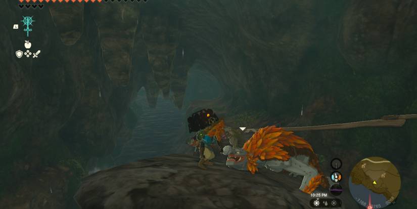 Every Creature Mask, In Zelda: Tears Of The Kingdom, Ranked