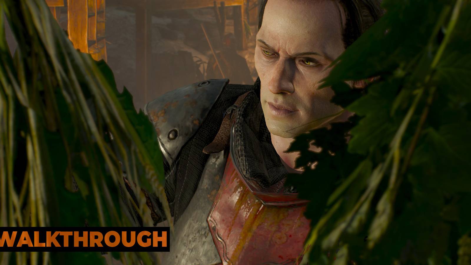 How To Complete Rose On A Red Field In The Witcher 3