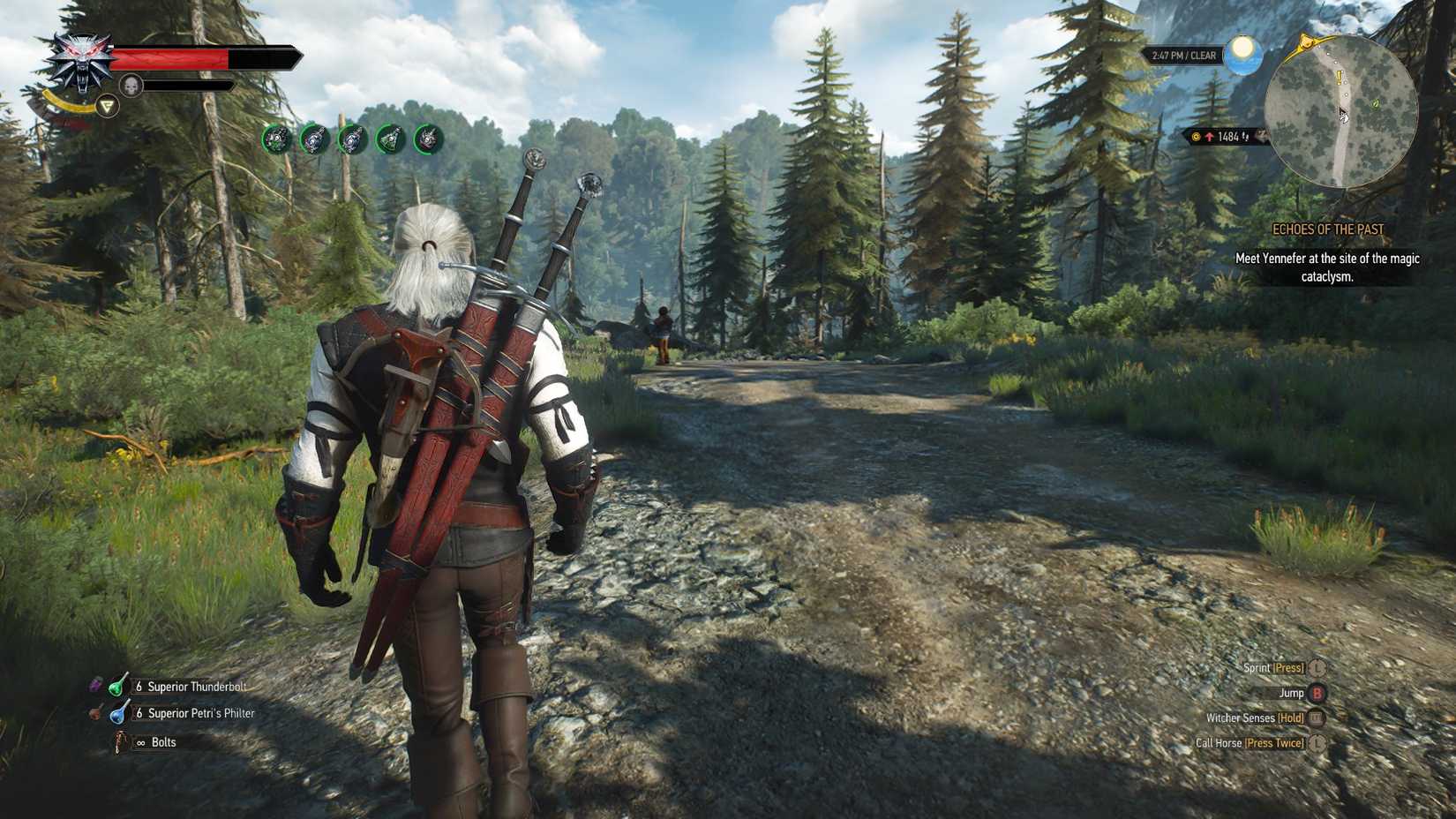 Screenshot of Geralt walking towards a child in the wilderness of Ard Skellig.
