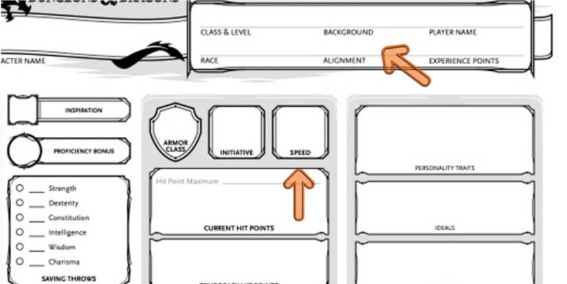 Dungeons & Dragons: How To Fill Out A DnD Character Sheet