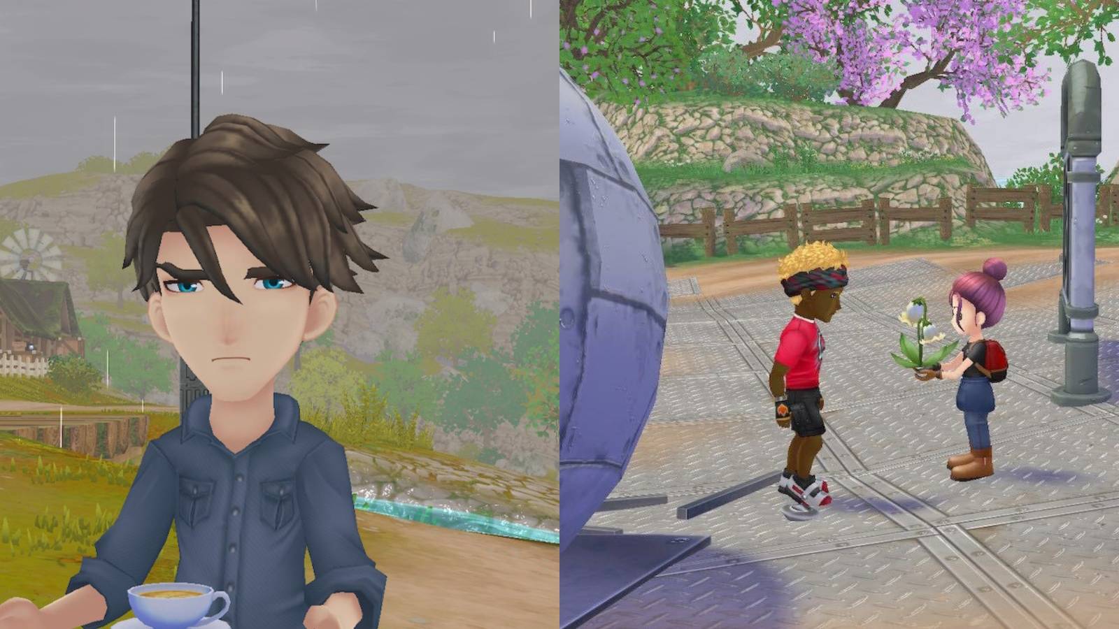 Story Of Seasons: A Wonderful Life - Gift Guide