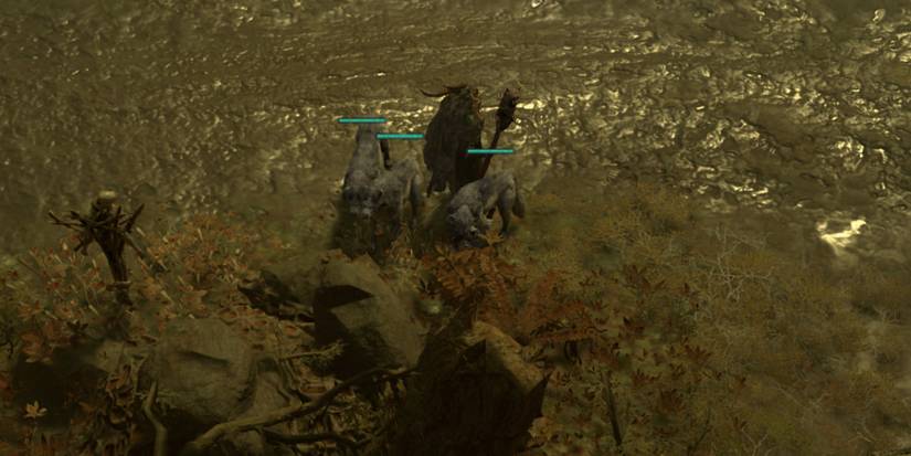Every Druid Companion In Diablo 4, Ranked