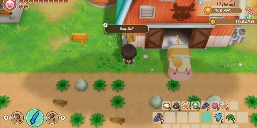 Tips For Getting Started In Story Of Seasons: FoMT
