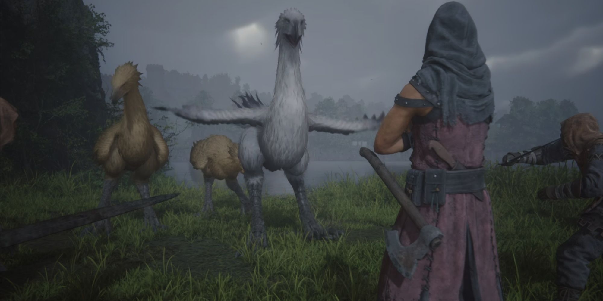 How To Complete White-Winged Wonder And Get A Chocobo In Final