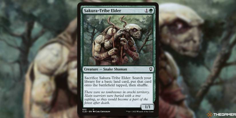 mtg hate cards Black hate cards in Modern? : r/ModernMagic