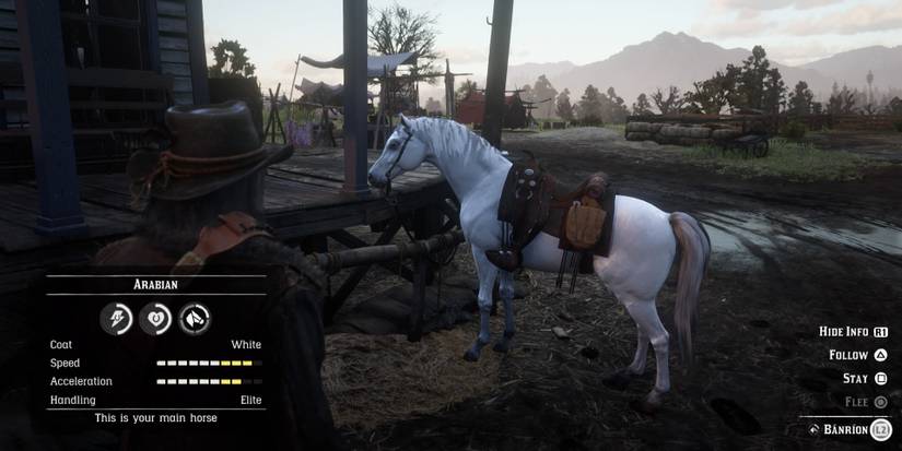 How To Find And Tame The White Arabian Horse In RDR 2 how-to-find-and-tame-the-white-arabian-horse-in-rdr-2