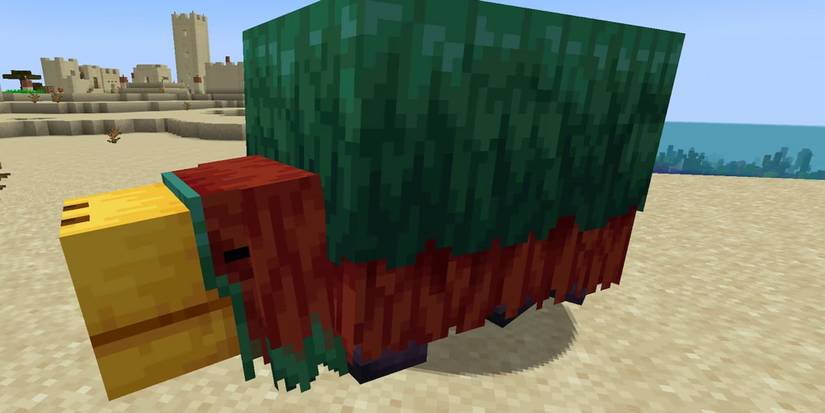 Minecraft: Everything Included In 1.20 Trails & Tales Update