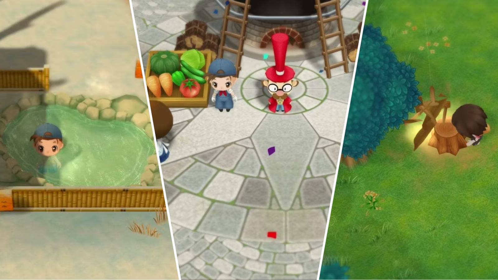 Tips For Getting Started In Story Of Seasons: FoMT