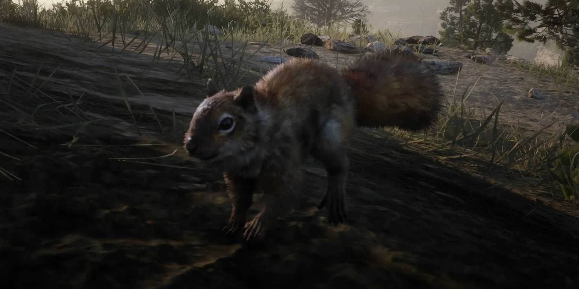 Muskrats Rdr2 Where To Find The Hardest Non-Legendary Animals To Hunt In Red Dead ...