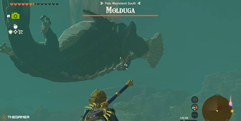 Molduga Locations And How To Beat Them In The Legend Of Zelda Tears Of molduga-locations-and-how-to-beat-them-in-the-legend-of-zelda-tears-of