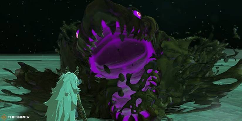 Where To Find All Temple Bosses In The Depths In The Legend Of Zelda ...